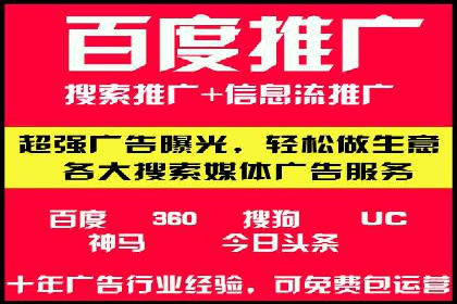 成功企业SEM竞价代运营案例研究